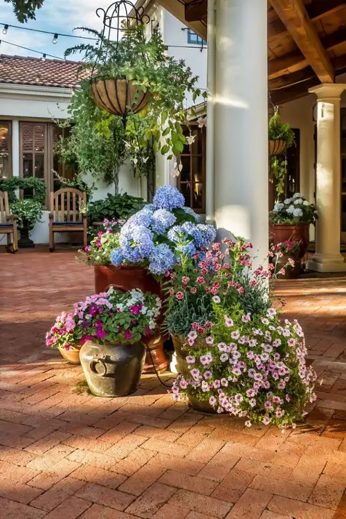 A Flowerful Corner
