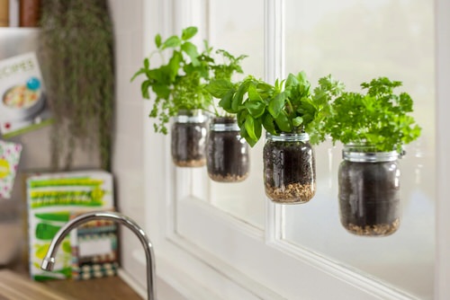 Suspended Herb Jars by the Sink