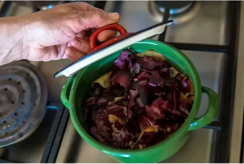 Super Useful Homemade Fertilizers for Indoor Plants in Water