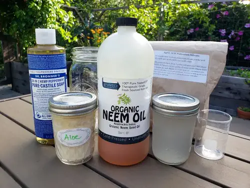 DIY Insecticidal Soap Recipes for Garden  Neem Oil + Aloe Gel + Soap