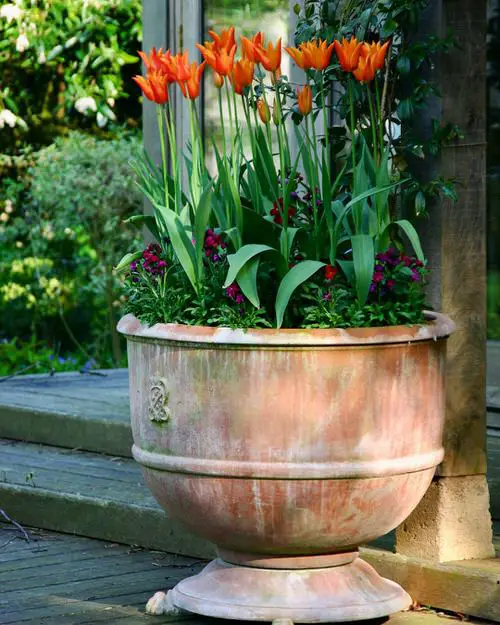 best Flowers that Look Like Bells