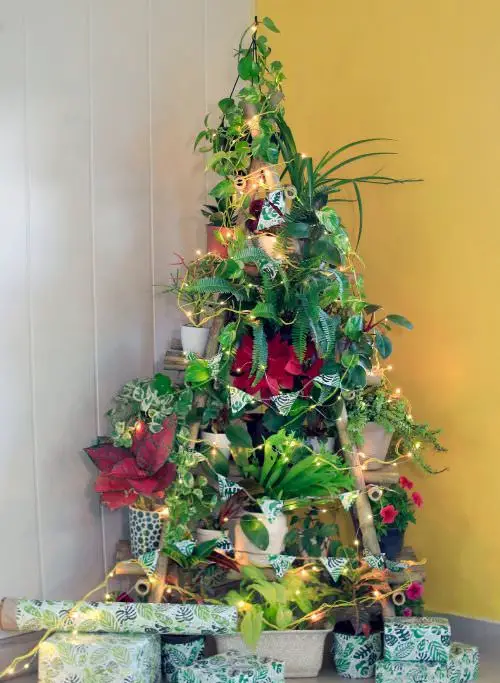 Exciting Indoor Winter Gardening Projects for December