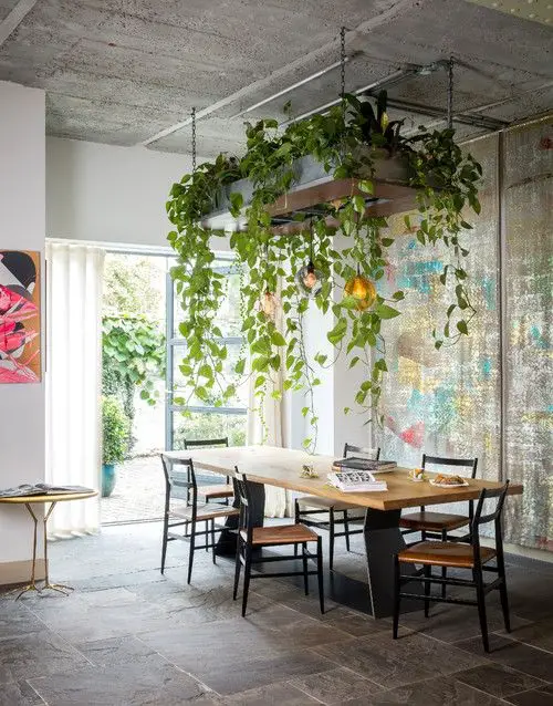 Unique Plant Ceiling Ideas