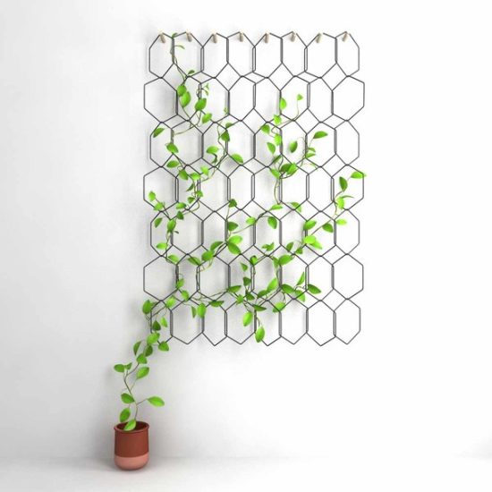 Hanging Wall Trellis