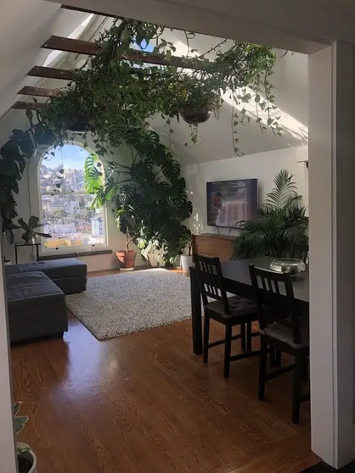 Vining Green Vault and Giant Swiss Cheese Entrance