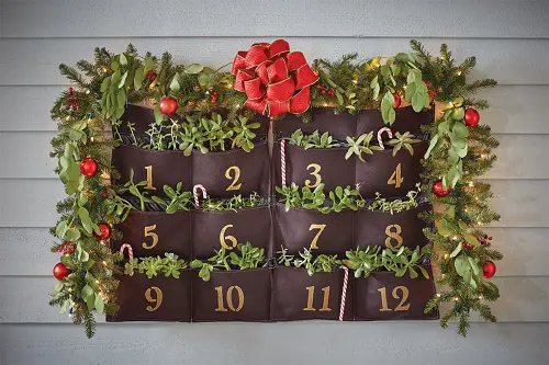 Make a Christmas Vertical Garden