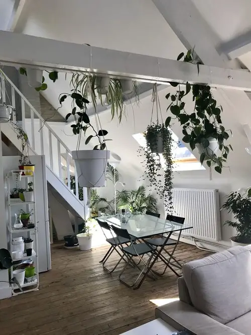 Hanging Macrame Planters Against White Backdrop