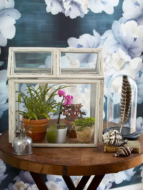Make an Indoor Greenhouse