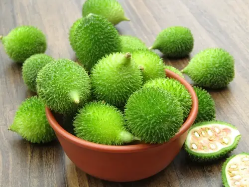 Amazing Best Round Green Vegetables to Grow in Pots and Garden