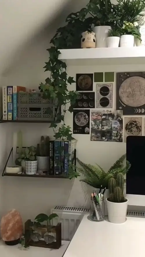   Ivy and Monstera Shading an Aesthetic Photo Wall