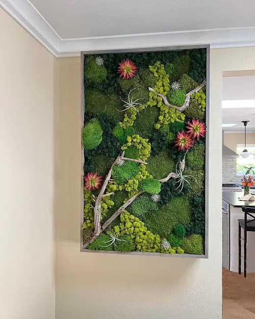 Varied Textured Moss and Red Succulent Bed
