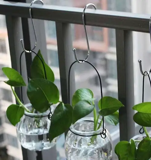 Glass Planters for Balcony