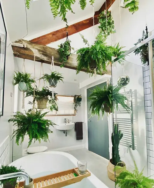 Jungle Bathroom Ideas Macrame Hanging Pots
