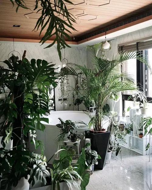 jungle bathroom ideas Black and White Pots