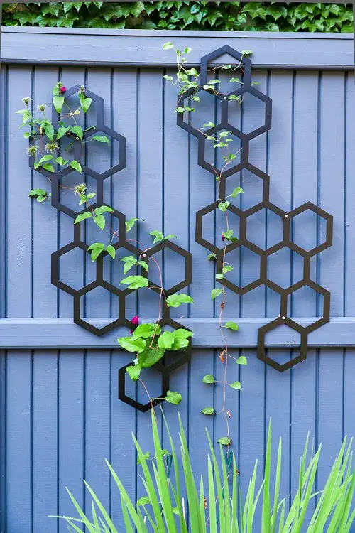 Outdoor DIY Plant Wall Trellis