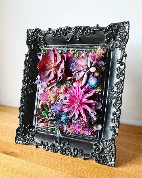 Unique Photo Frame of Colorful Succulents