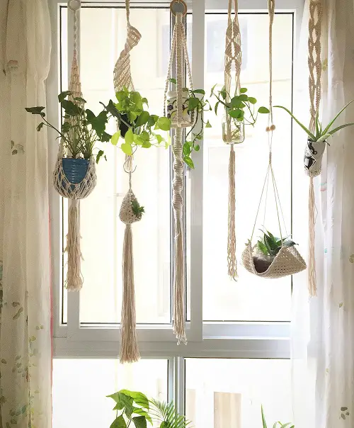Braided Macrame Planter Garden by the Window