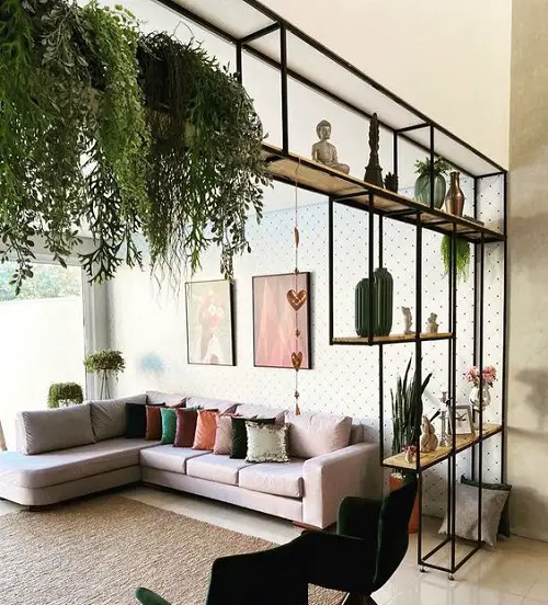 Cascading Houseplant from the Ceiling Shelf