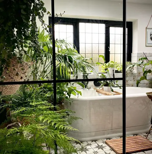Jungle Bathroom Ideas Ferns, Palms, and Vines