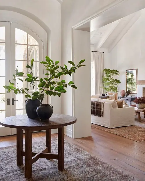 Foyer Carpet That Goes Well with Countertop Plants