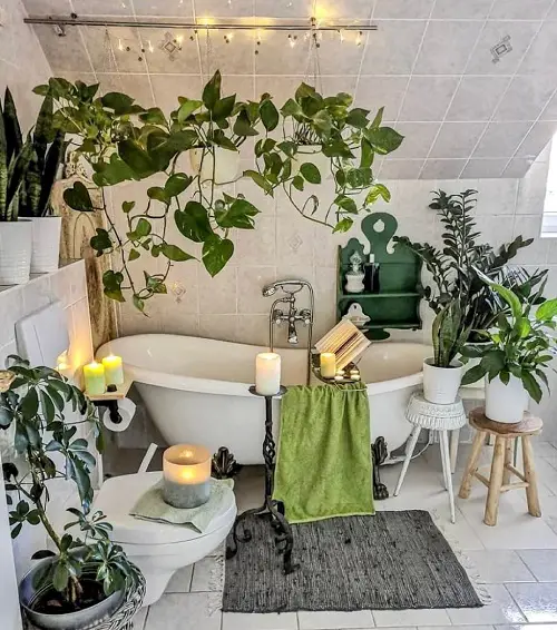 Scented Candles and Plants