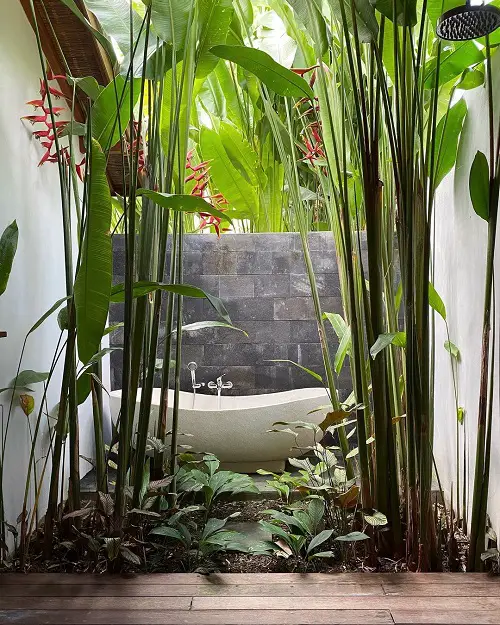 Jungle Bathroom Jungle Pathway to the Tub