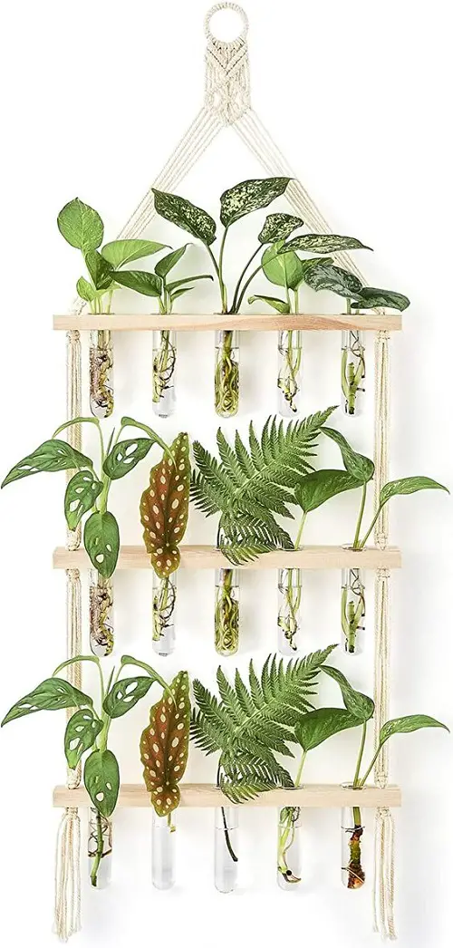 Mini Hanging Glass Planter Garden