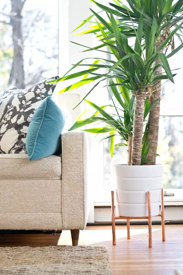 Designer Plant Stand