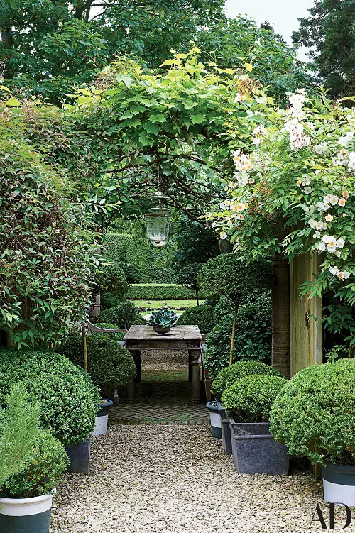 Leafy Shelter from the Sun 3