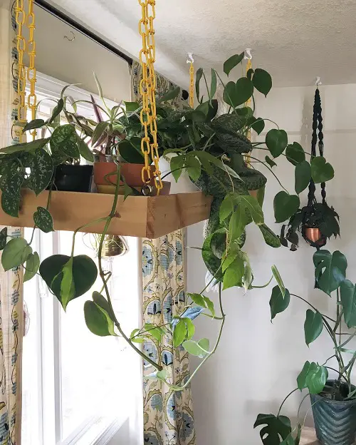 Suspended Houseplant Tray by the Window