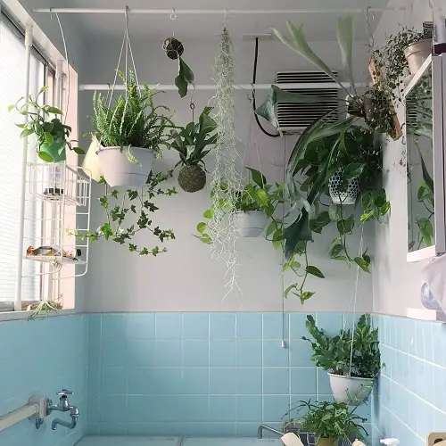 Hanging Pots for Shower Curtain