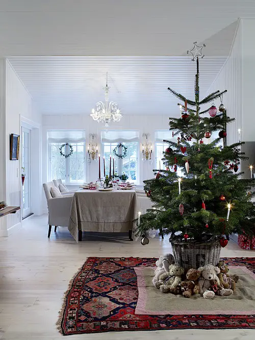 Grow a Christmas Tree Alternative