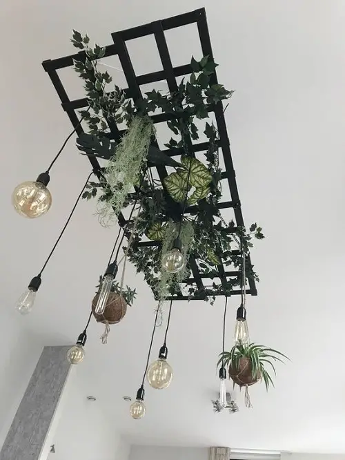 Hanging Kokedama Balls, Houseplants & Retro Bulbs