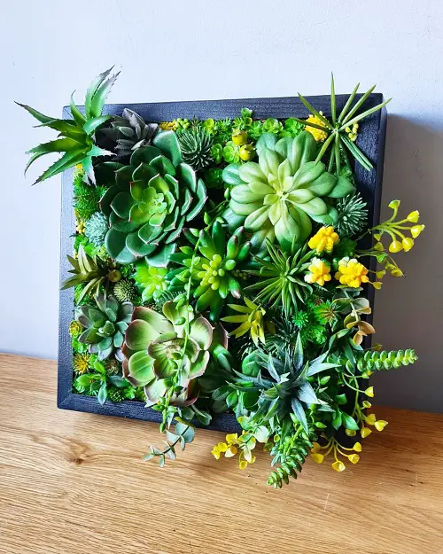 Living Wall Frame of Echeveria, Aloe, and Stonecrops
