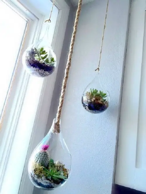 Leveled Glass Planters Near Window