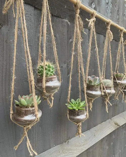 Hanging Glass Planters with Rope