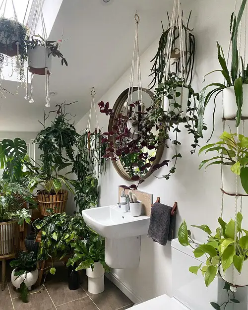 Jungle Bathroom Hanging Pots and Vines on White