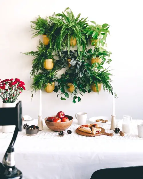 Gorgeous Fern and Ivy Graden in Yellow Pots