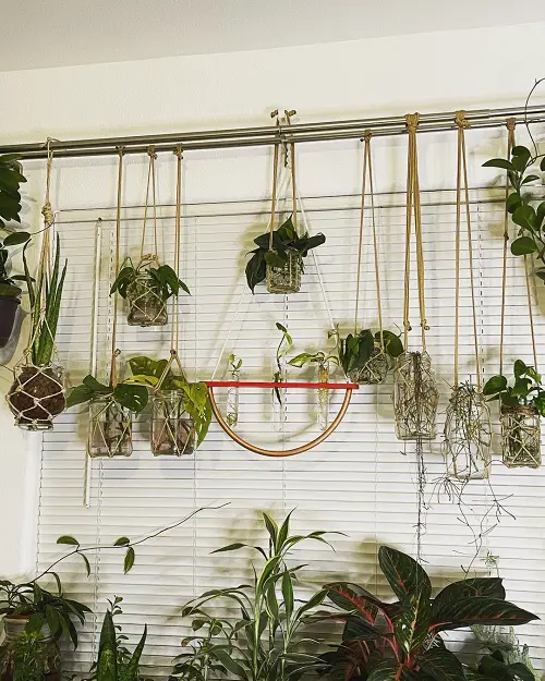Hanging Glass Planter Set