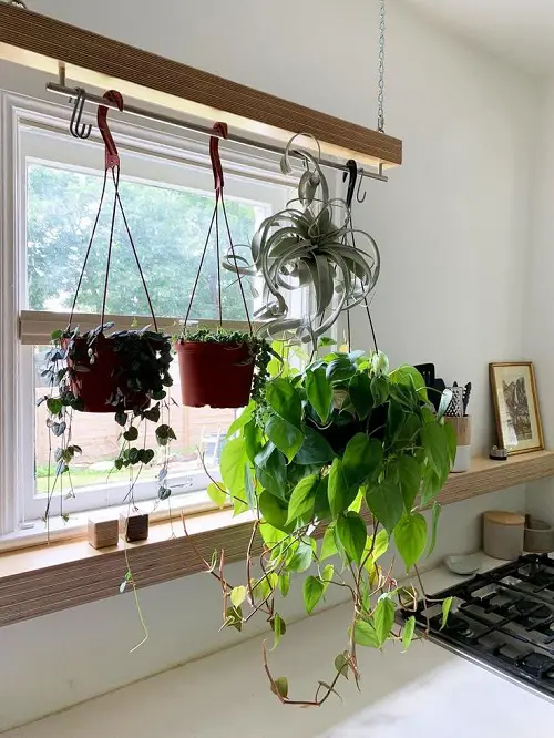 Hanging Pot Rack Decked with Houseplants