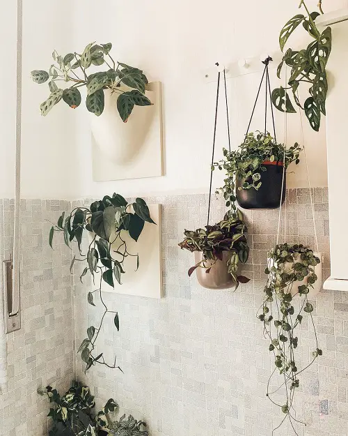 Wall Planters jungle bathroom ideas