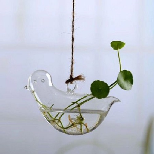 Glass Planter with Style