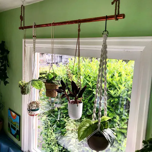 Creative Macrame Planters for a Boho Vibe