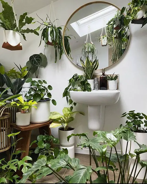 jungle bathroom Greenery All-Around