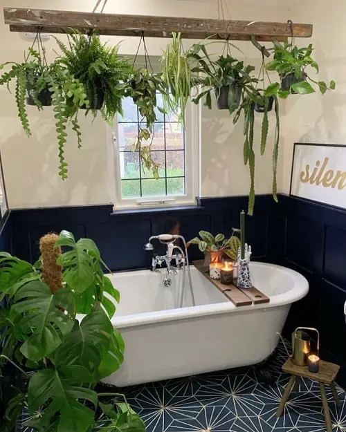 Jungle Bathroom Beam of Hanging Pots