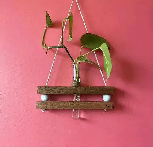 Modern Hanging Test Tube Hanging Glass Planter