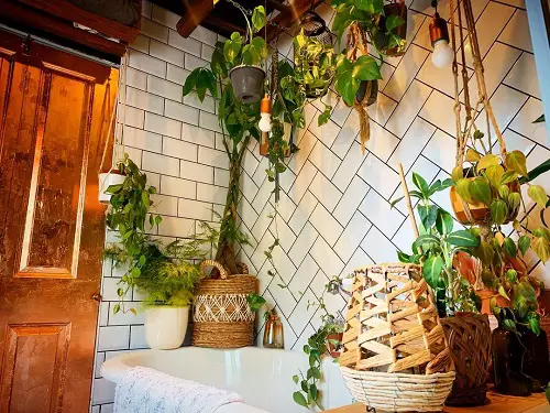 Handmade Baskets and Tropical Plants jungle Bathroom Ideas