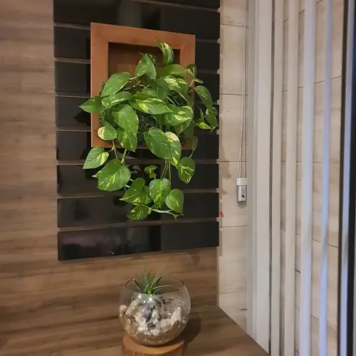 Wall Art Decor of Variegated Vines