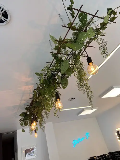 Suspended Ceiling of Faux Swiss Cheese and String Plants