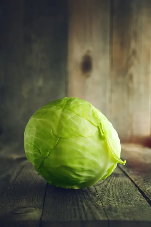 Best Round Green Vegetables